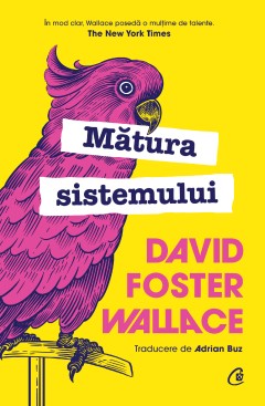 Mătura sistemului - David Foster Wallace - Carti