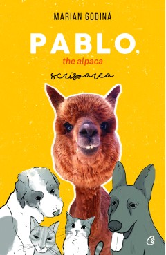 Pablo, the alpaca. Scrisoarea